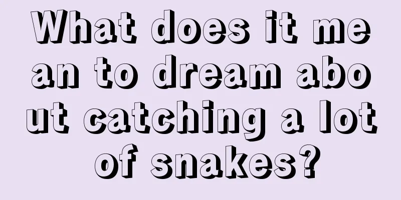 What does it mean to dream about catching a lot of snakes?