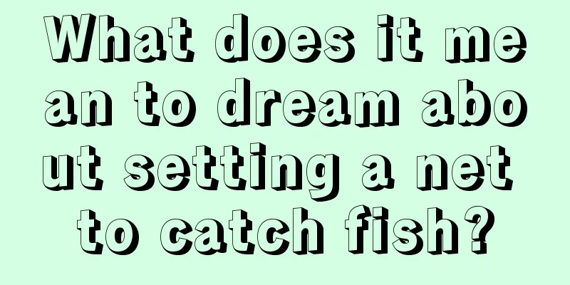 What does it mean to dream about setting a net to catch fish?