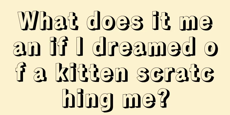 What does it mean if I dreamed of a kitten scratching me?