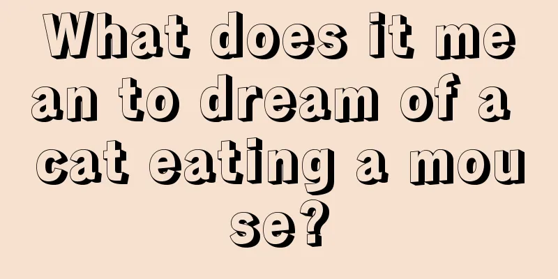 What does it mean to dream of a cat eating a mouse?