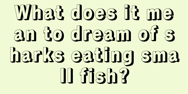 What does it mean to dream of sharks eating small fish?