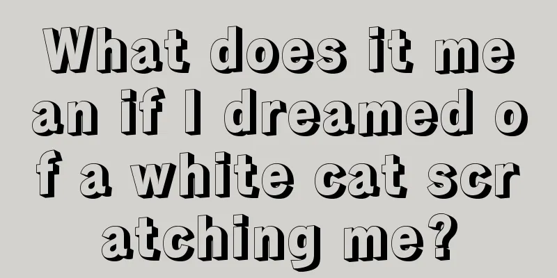 What does it mean if I dreamed of a white cat scratching me?