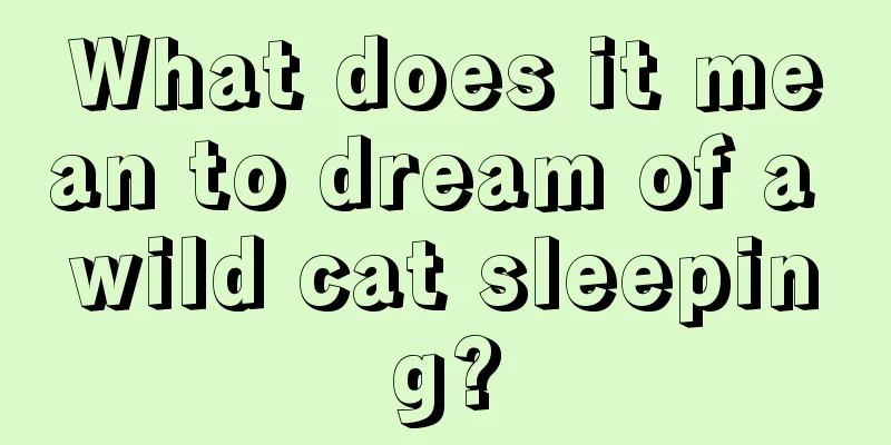 What does it mean to dream of a wild cat sleeping?