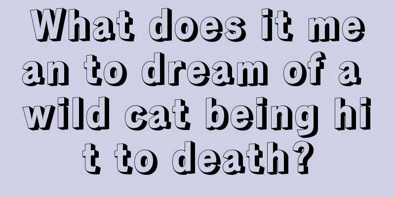 What does it mean to dream of a wild cat being hit to death?