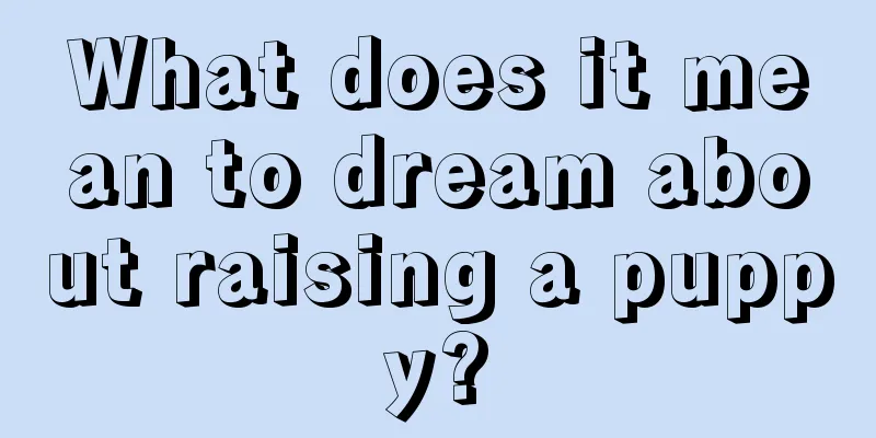 What does it mean to dream about raising a puppy?