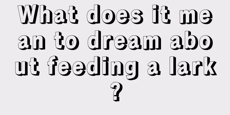 What does it mean to dream about feeding a lark?