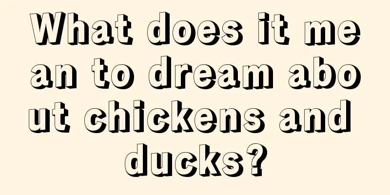 What does it mean to dream about chickens and ducks?