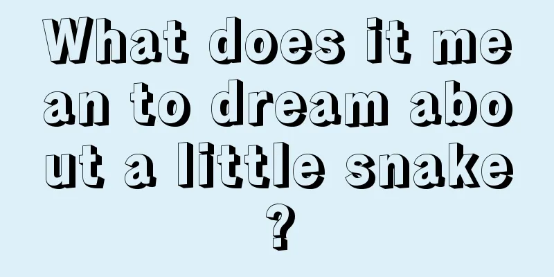 What does it mean to dream about a little snake?