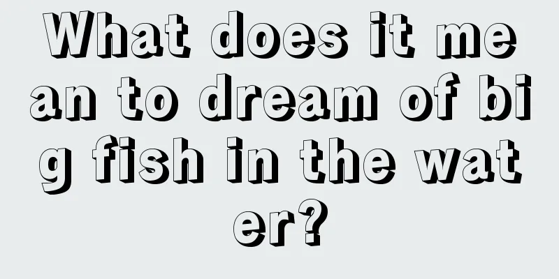 What does it mean to dream of big fish in the water?