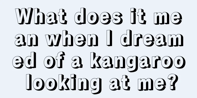 What does it mean when I dreamed of a kangaroo looking at me?