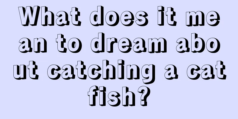 What does it mean to dream about catching a catfish?