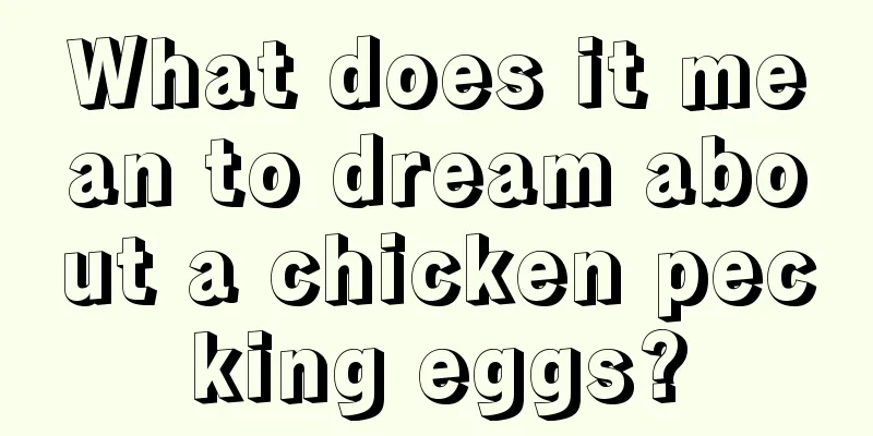 What does it mean to dream about a chicken pecking eggs?