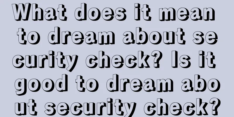 What does it mean to dream about security check? Is it good to dream about security check?