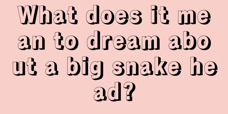 What does it mean to dream about a big snake head?