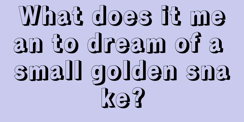 What does it mean to dream of a small golden snake?