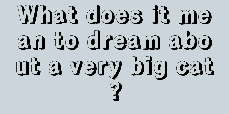 What does it mean to dream about a very big cat?