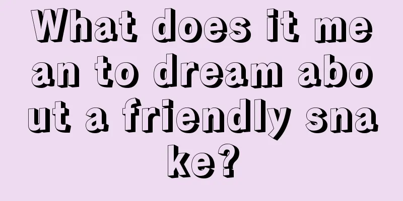 What does it mean to dream about a friendly snake?