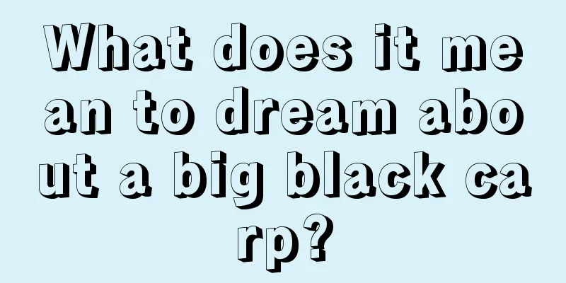 What does it mean to dream about a big black carp?