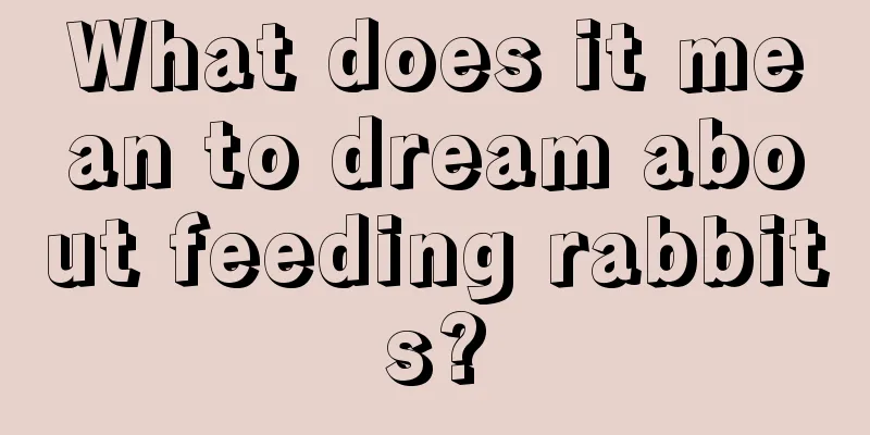 What does it mean to dream about feeding rabbits?