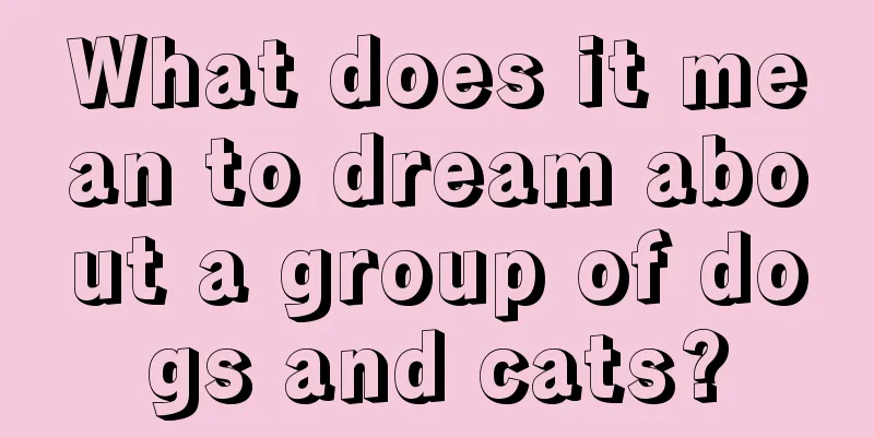 What does it mean to dream about a group of dogs and cats?