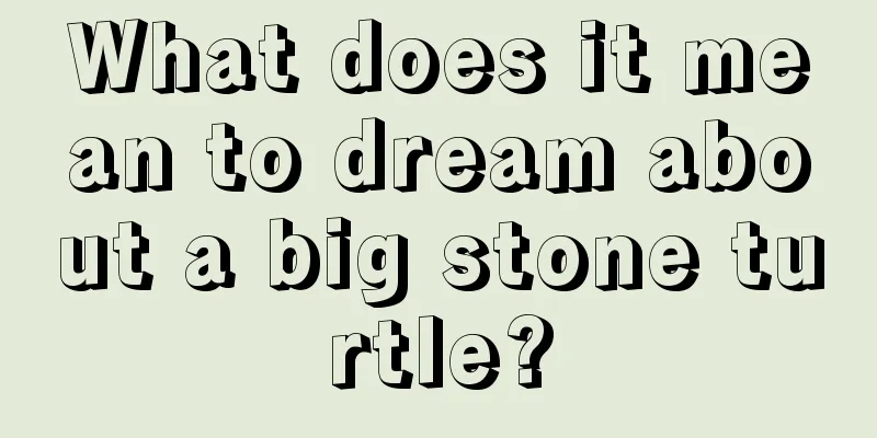 What does it mean to dream about a big stone turtle?