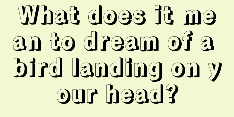 What does it mean to dream of a bird landing on your head?