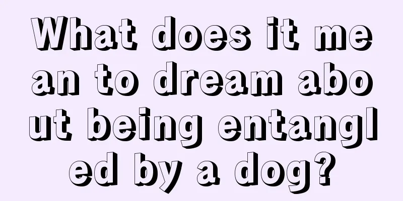 What does it mean to dream about being entangled by a dog?