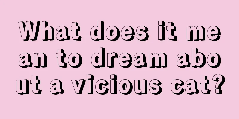 What does it mean to dream about a vicious cat?