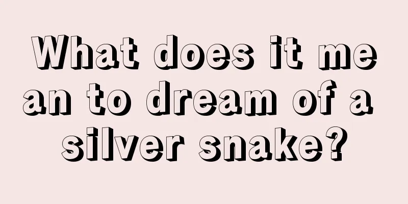 What does it mean to dream of a silver snake?