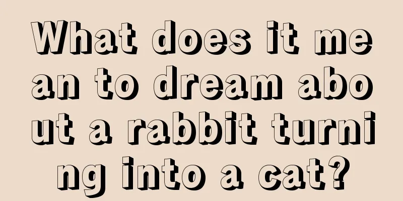 What does it mean to dream about a rabbit turning into a cat?