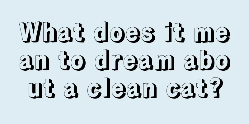 What does it mean to dream about a clean cat?