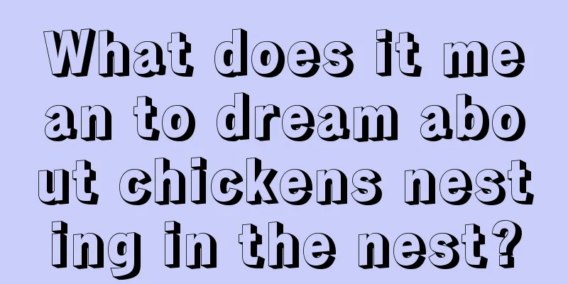 What does it mean to dream about chickens nesting in the nest?