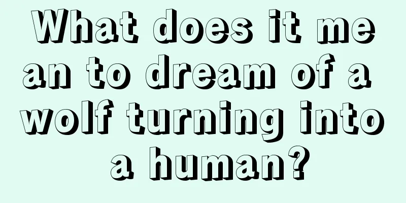 What does it mean to dream of a wolf turning into a human?