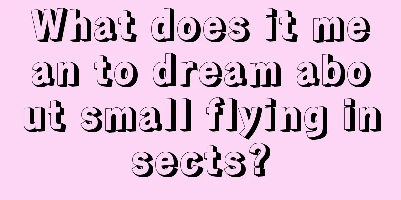 What does it mean to dream about small flying insects?