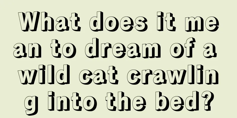 What does it mean to dream of a wild cat crawling into the bed?