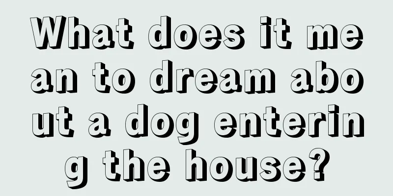 What does it mean to dream about a dog entering the house?