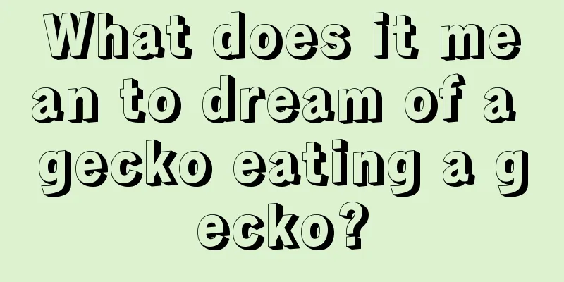 What does it mean to dream of a gecko eating a gecko?