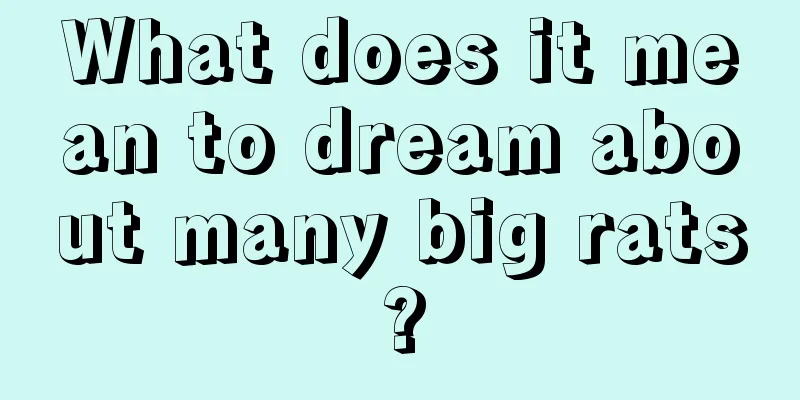 What does it mean to dream about many big rats?