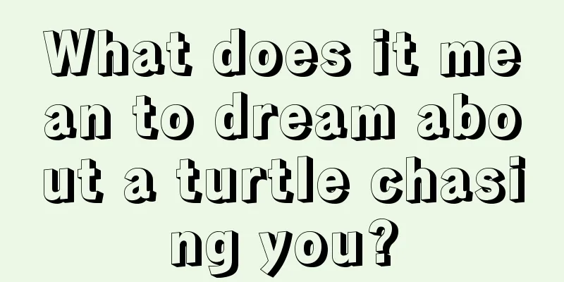 What does it mean to dream about a turtle chasing you?