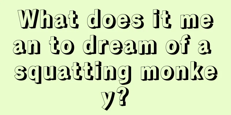 What does it mean to dream of a squatting monkey?