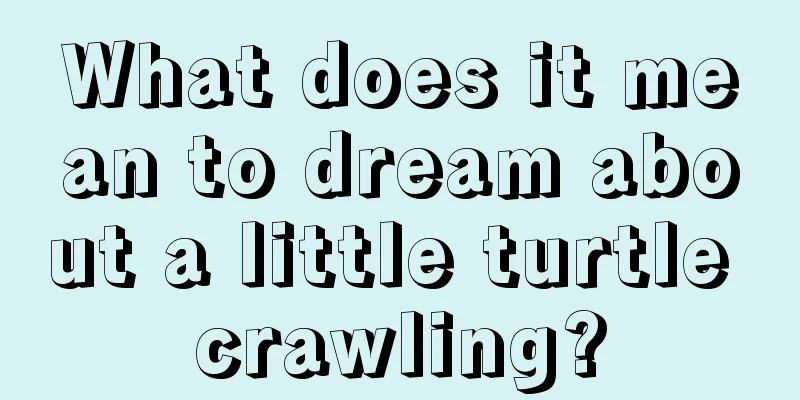 What does it mean to dream about a little turtle crawling?