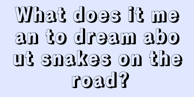 What does it mean to dream about snakes on the road?