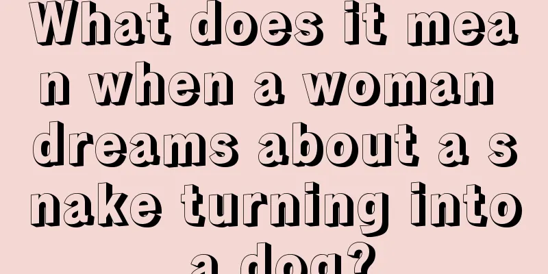 What does it mean when a woman dreams about a snake turning into a dog?