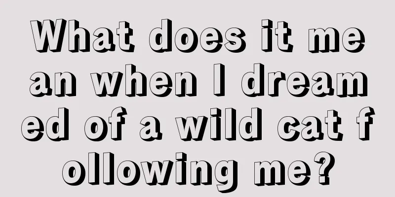 What does it mean when I dreamed of a wild cat following me?