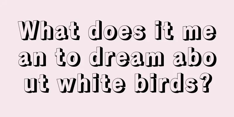 What does it mean to dream about white birds?