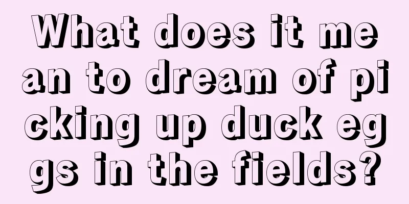 What does it mean to dream of picking up duck eggs in the fields?