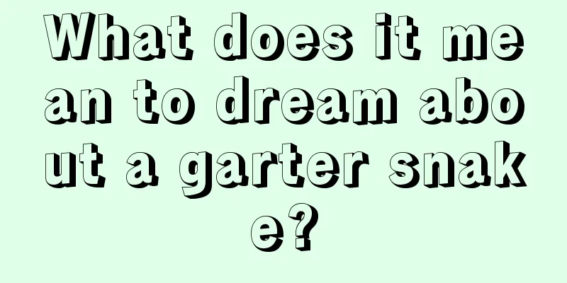 What does it mean to dream about a garter snake?