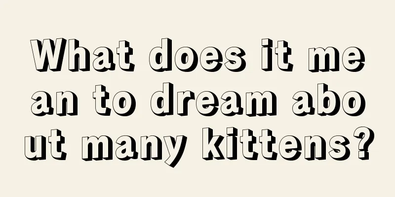 What does it mean to dream about many kittens?