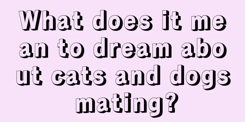 What does it mean to dream about cats and dogs mating?