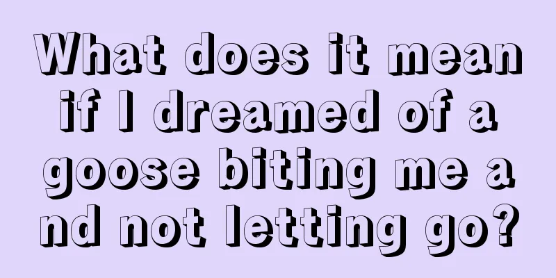 What does it mean if I dreamed of a goose biting me and not letting go?